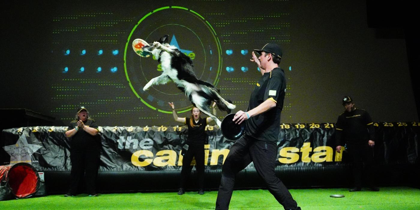 black and white dog mid air catching a frisbee on stage next to person dressed in black