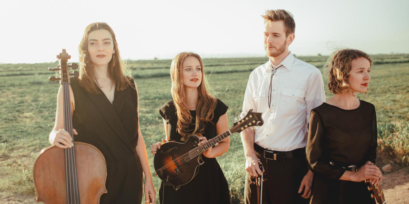 Three women and a man stand in a green field, the golden glow of sunset on their faces as they hold their string instruments. 