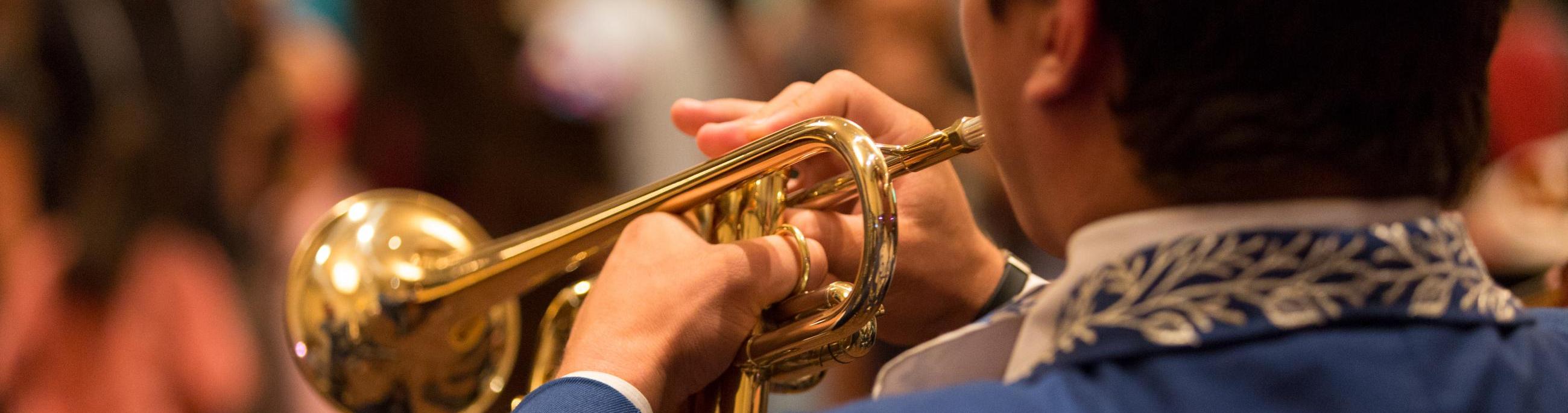 Several local arts organizations regularly perform at Chandler Center for the Arts, exhibiting the rich talent of our city.