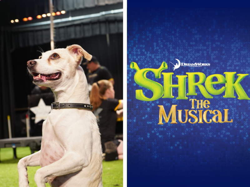 Moana art, Kobie Boykins with planet as background, dog sitting on hind legs, Shrek the Musical