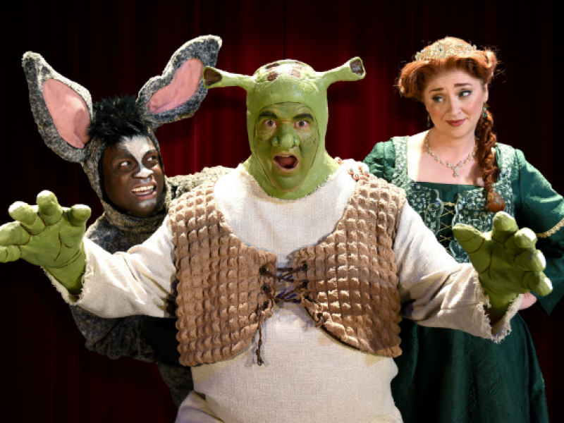 Shrek, Donkey, and Fiona cast members