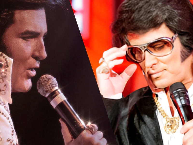 Elvis A Tribute to the Concert Years