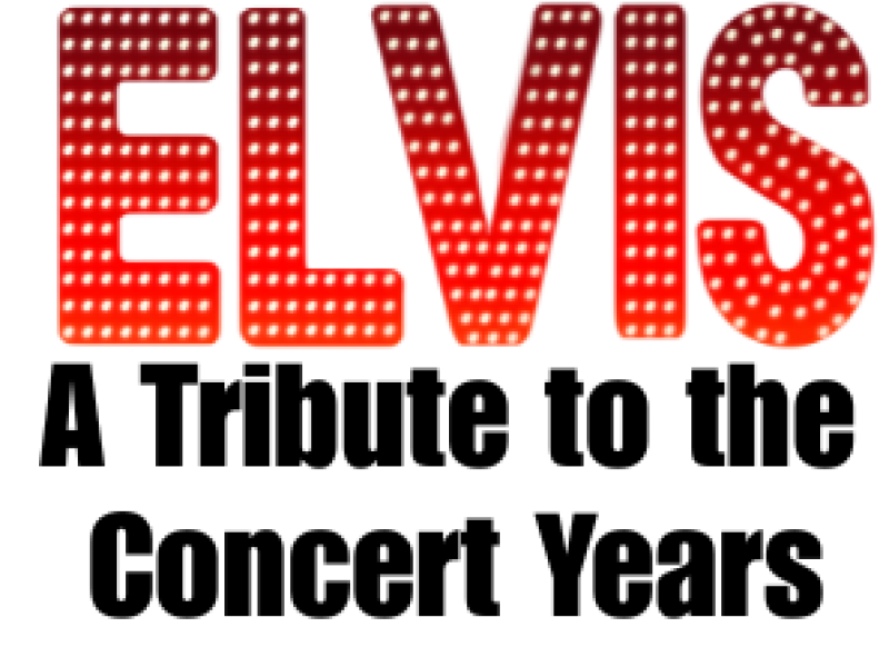 Elvis A Tribute to the Concert Years