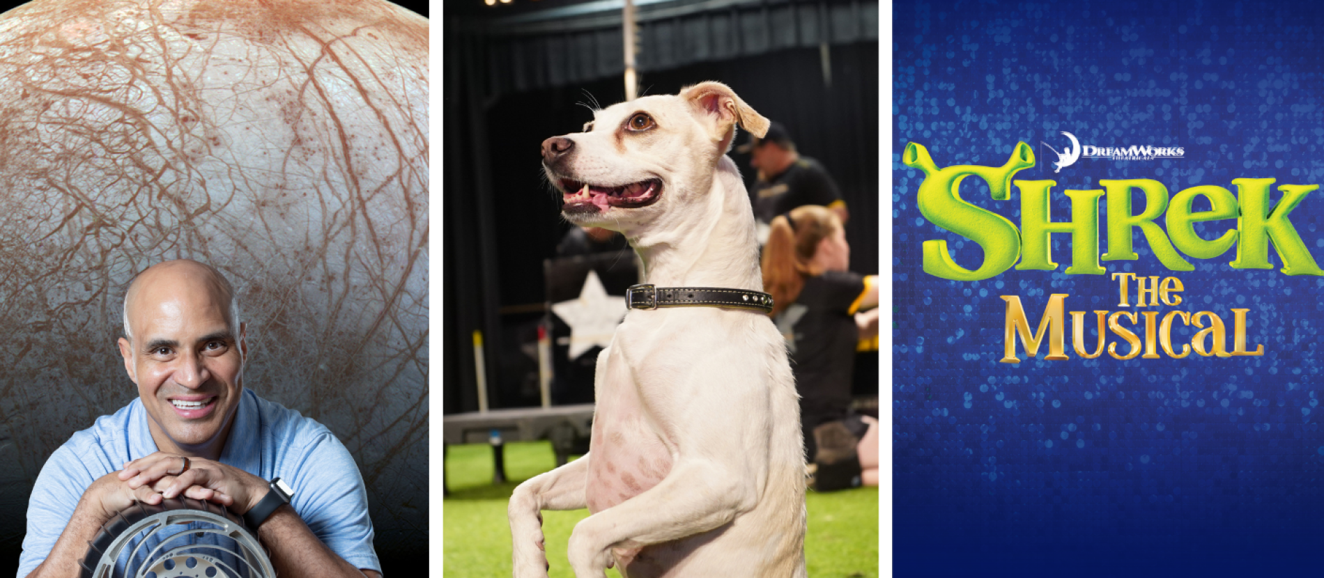 Moana art, Kobie Boykins with planet as background, dog sitting on hind legs, Shrek the Musical