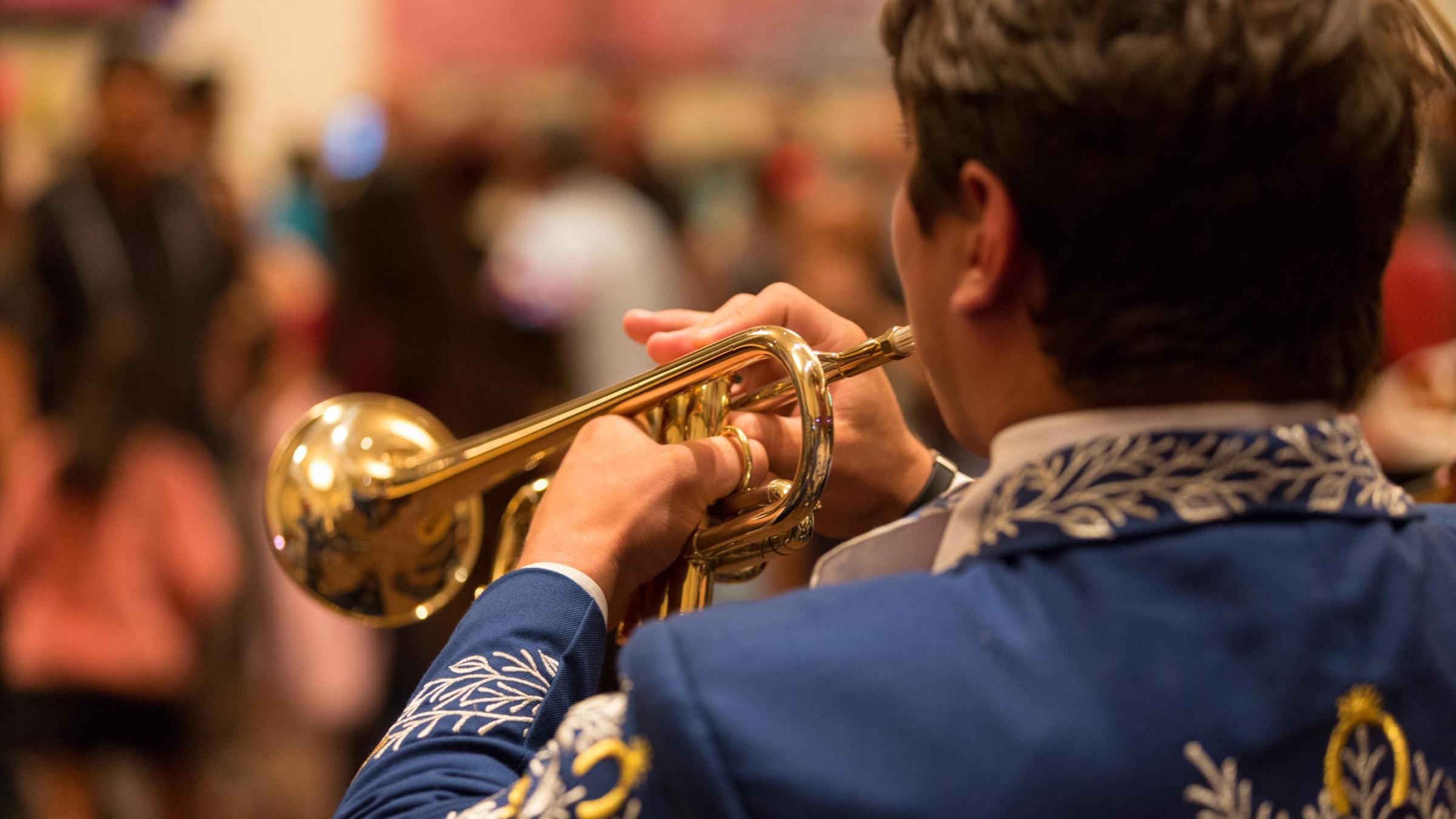Several local arts organizations regularly perform at Chandler Center for the Arts, exhibiting the rich talent of our city.