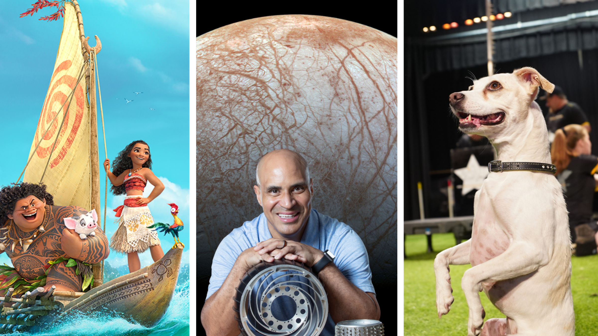 Moana art, Kobie Boykins with planet as background, dog sitting on hind legs, Shrek the Musical